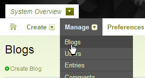 manage-blogs-system-menu.png